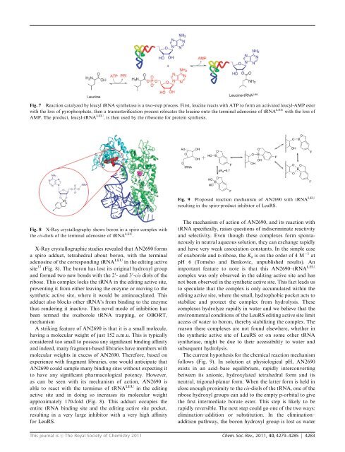 Boron-Containing Inhibitors of Synthetases - Anacor