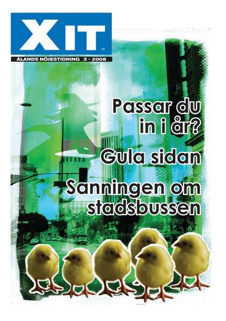 XIT # 3 2008 (pdf)