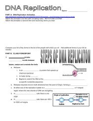 DNA replication note blanks - Biology for Life