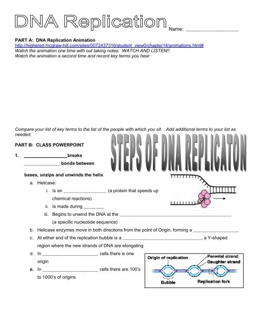 DNA replication note blanks - Biology for Life