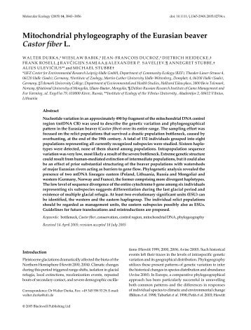 Mitochondrial phylogeography of the Eurasian beaver Castor fiber L.