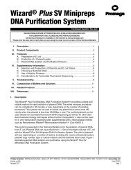 WizardÂ® Plus SV Minipreps DNA Purification System Technical ...