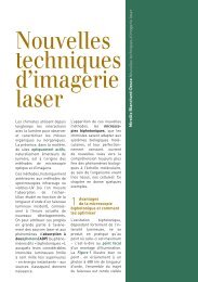 Nouvelles techniques d'imagerie laser (PDF ... - Mediachimie.org