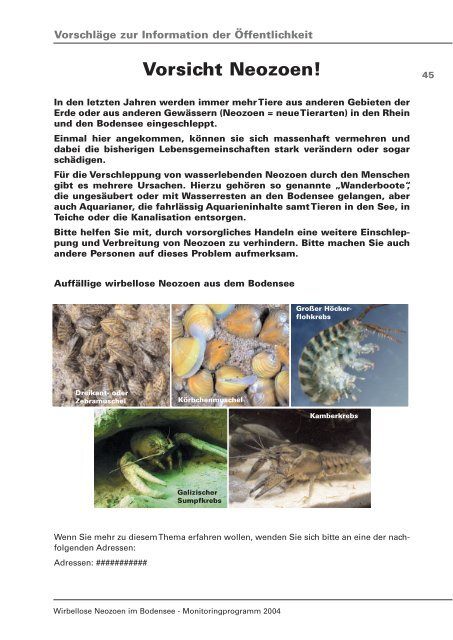 Neozoen 44 6 Vorschläge zur Info
