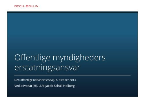 Offentlige myndigheders erstatningsansvar - Bech-Bruun