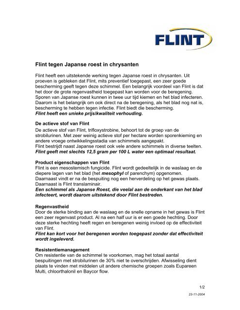 Flint tegen Japanse roest in chrysanten - Bayer CropScience