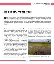 Rice Yellow Mottle Virus - cgiar