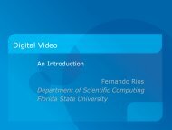 intro_dv_slides.pdf - Department of Scientific Computing - Florida ...