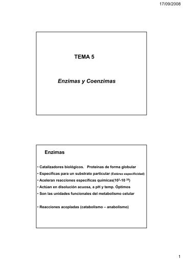 TEMA 5 Enzimas y Coenzimas