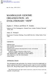 Mammalian Genome Organization - Theodosius Dobzhansky ...