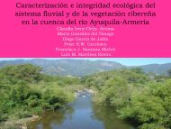 Caracterización e integridad ecológica del sistema fluvial y de la ...
