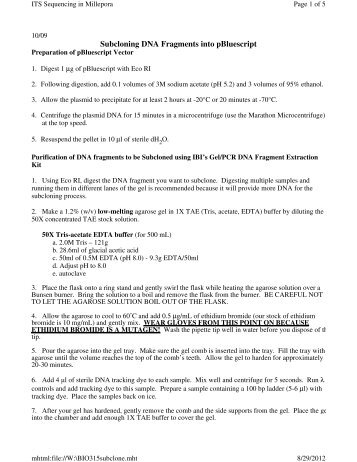 Subcloning DNA Fragments into pBluescript - Cornell College