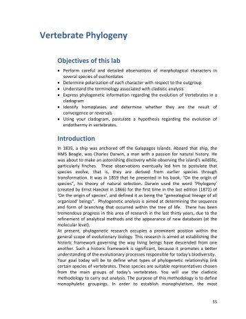 Lab3: Vertebrate Phylogeny - Salinella