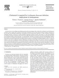 Cholesterol is required for Leishmania donovani infection ...