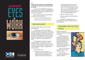 Danger: Eyes at work [252 KB PDF] - Business.govt.nz