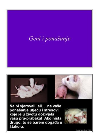 02 Bihevioralna genetika.pdf