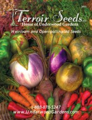 The 2011 Terroir Seeds LLC catalog - aha Creative Ink Home