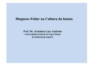 Diagnose foliar na cultura da batata - Nutricao de Plantas