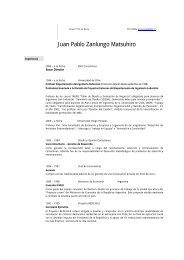 C.V. Juan Pablo Zanlungo - Departamento de IngenierÃ­a Industrial ...