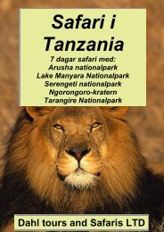Tanzania safari med Serengeti och Ngorongoro crater