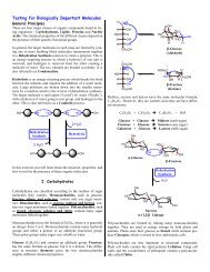 Testing for Biologically Important Molecules