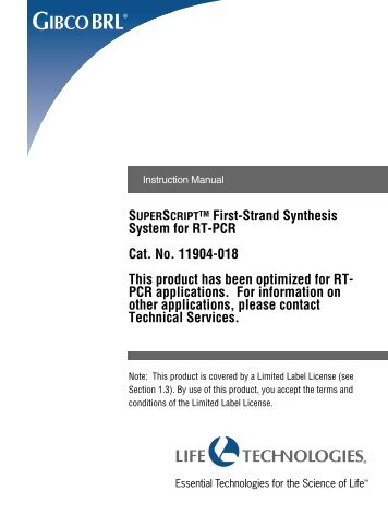 superscript RT-PCR manual