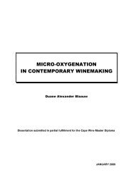 micro-oxygenation in contemporary winemaking - Cape Wine ...