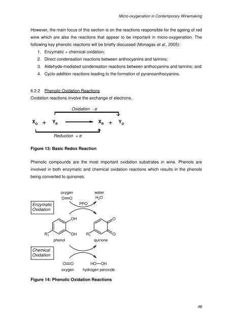 micro-oxygenation in contemporary winemaking - Cape Wine ...