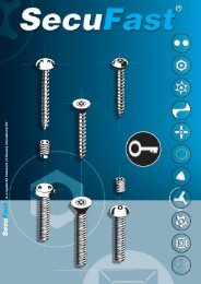 Download catalogue - SecuFast anti-diefstalschroeven