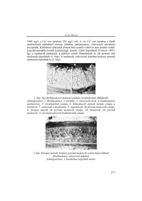 Teljes szöveg (PDF) - Matarka