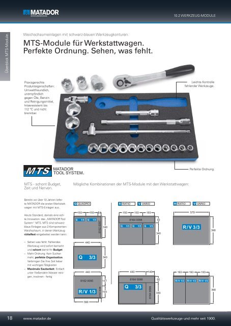 MTS-Module für Werkstattwagen. Perfekte Ordnung. Sehen, was fehlt.