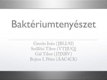 Baktériumtenyészet