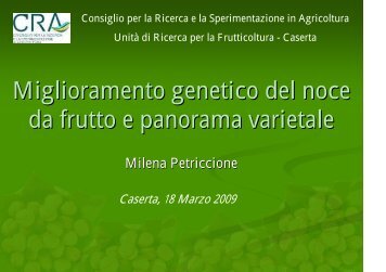 Miglioramento genetico del noce da frutto e panorama varietale