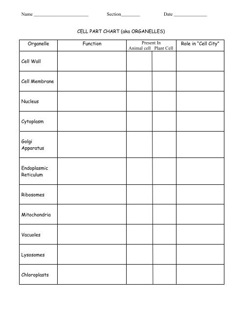 Organelle Function Chart