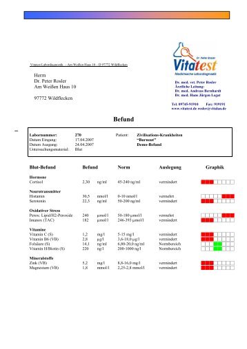 Demo-Befund BurnOut - Vitatest