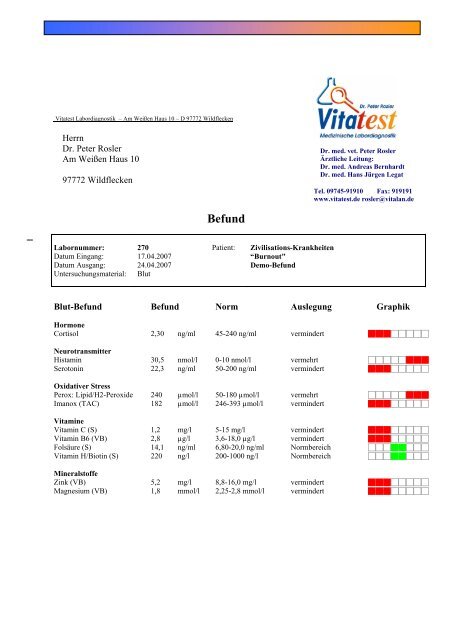 Demo-Befund BurnOut - Vitatest