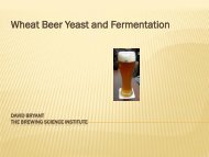 German Wheat Beer Yeast and Fermentation