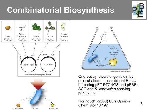 Combinatorial Biosynthesis