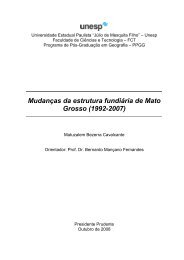 MudanÃ§as da estrutura fundiÃ¡ria de Mato Grosso (1992 ... - UNESP