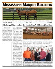 Mississippi State University Hosts State's Oldest AQHA Show
