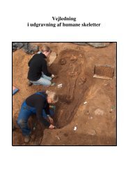 Vejledning i udgravning af humane skeletter - Horsens Museum