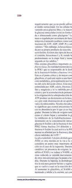 Cambios en el metabolismo cardíaco y su posible ... - edigraphic.com