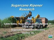 Sugarcane Ripener Research