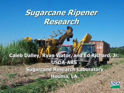 Sugarcane Ripener Research