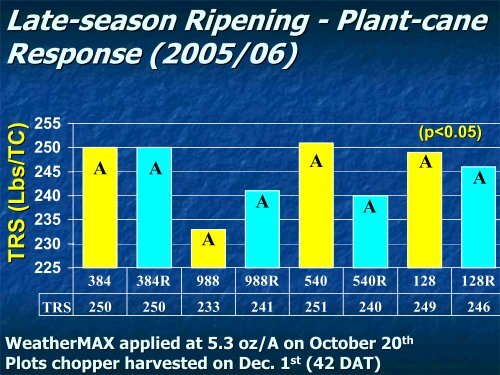 Sugarcane Ripener Research