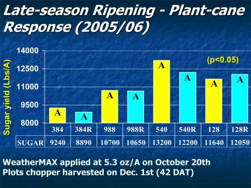 Sugarcane Ripener Research