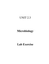 UNIT 2.3 Microbiology Lab Exercise