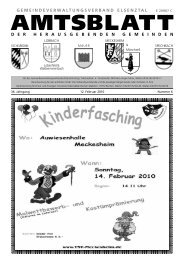 Amtsblatt - Meckesheim