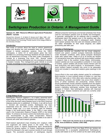 Switchgrass Production in Ontario: A Management Guide