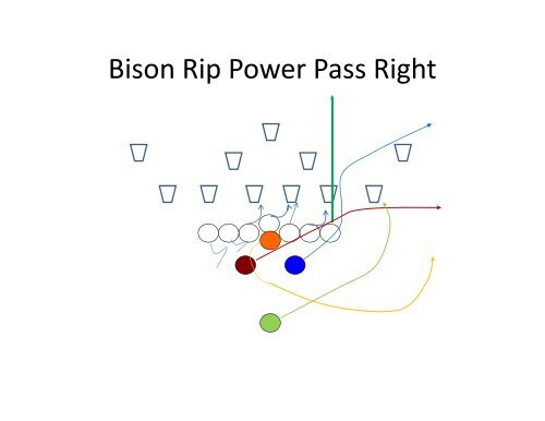 Triple B Bear/Bison Backfield Power Series - Gregory Double Wing